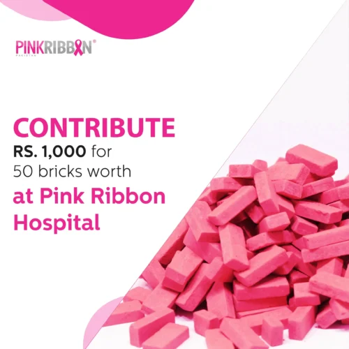 Contribute 50 Bricks
